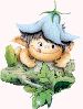 tor5.gif