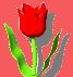 virag032.gif