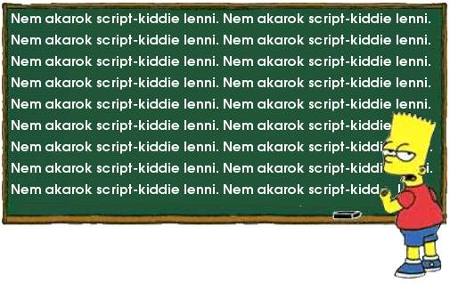 Nem akarok script-kiddie lenni !!!!!!