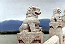 Image-60.jpg