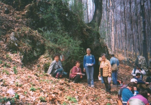photo1.jpg
