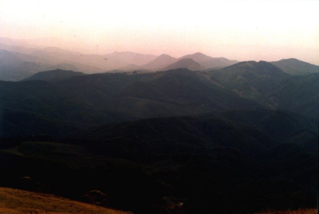 photo11.jpg