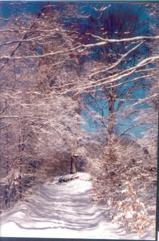 photo21.jpg