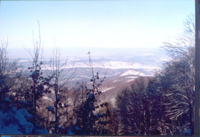 photo23.jpg
