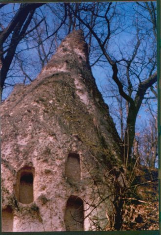 photo28.jpg