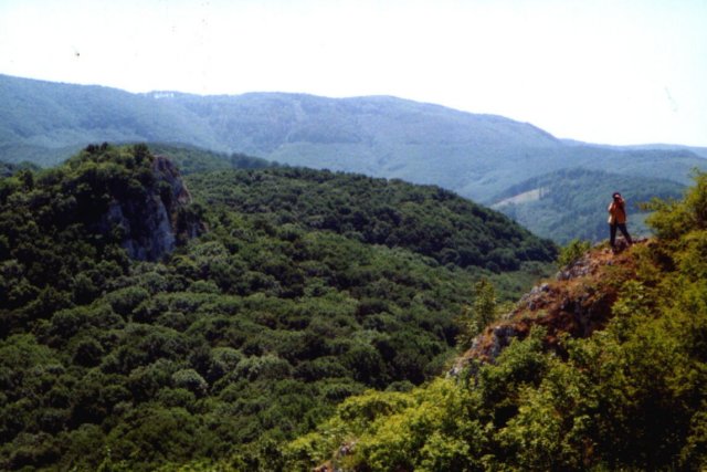 photo3.jpg