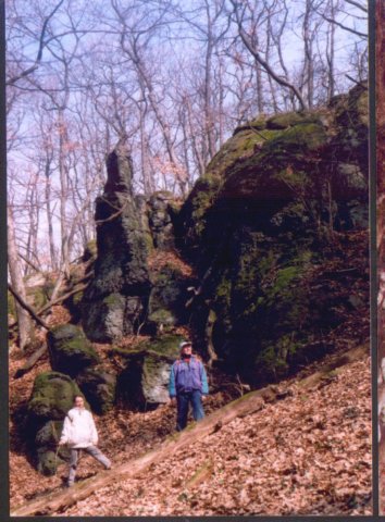photo33.jpg