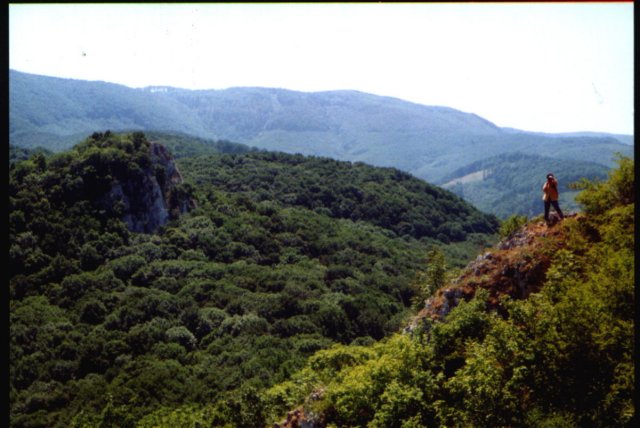 photo4.jpg