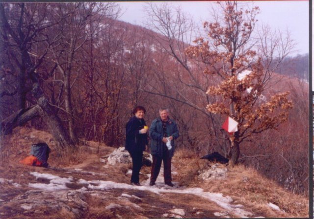 photo47.jpg