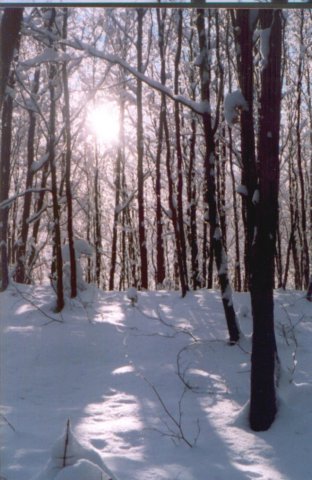 photo49.jpg
