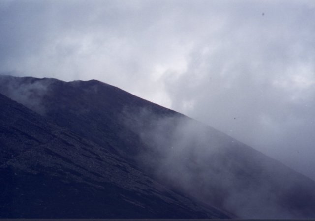 photo1.jpg