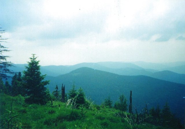 photo32.jpg