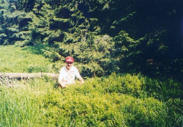 photo33.jpg