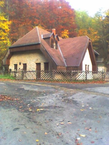 photo36.jpg