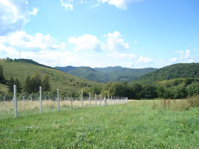 photo38.jpg