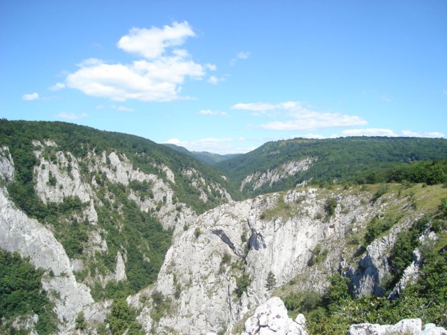 photo39.jpg