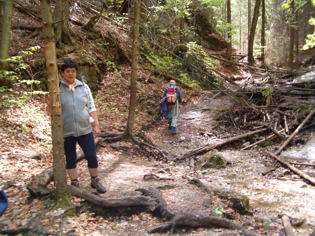 photo47.jpg