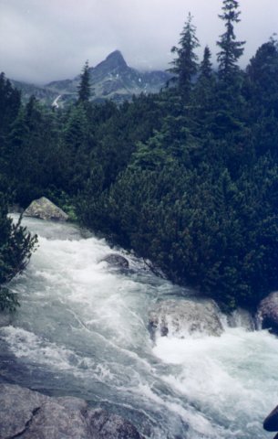 photo6.jpg