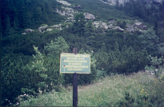 photo7.jpg