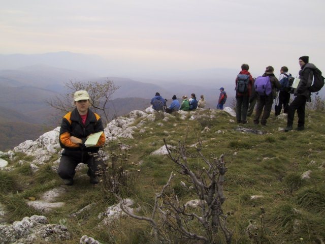 photo11.jpg