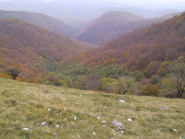 photo17.jpg