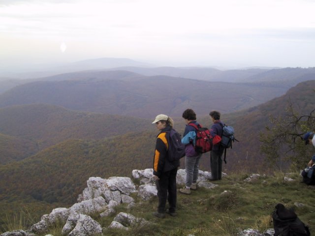 photo27.jpg