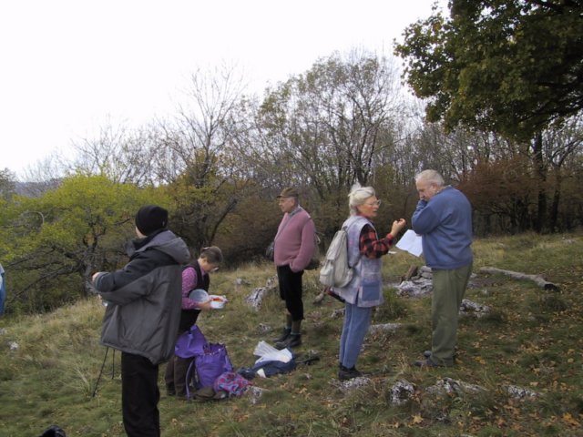 photo29.jpg