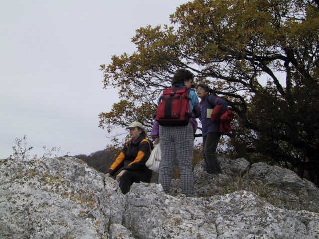 photo38.jpg