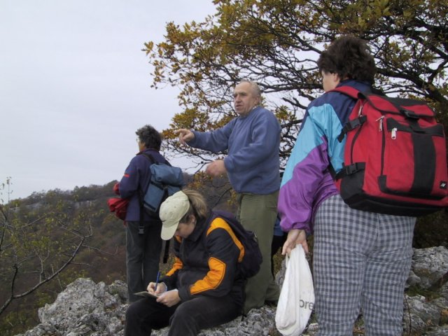 photo39.jpg