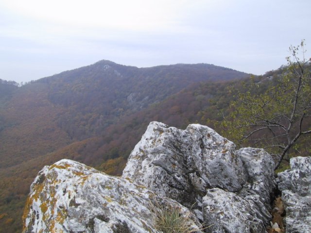 photo40.jpg