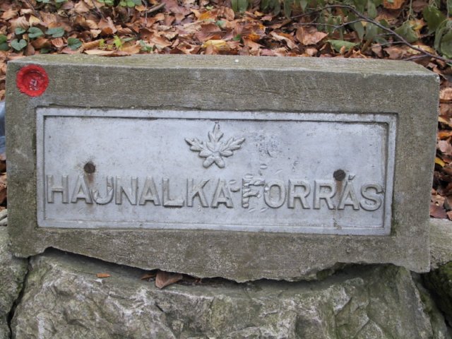 photo11.jpg