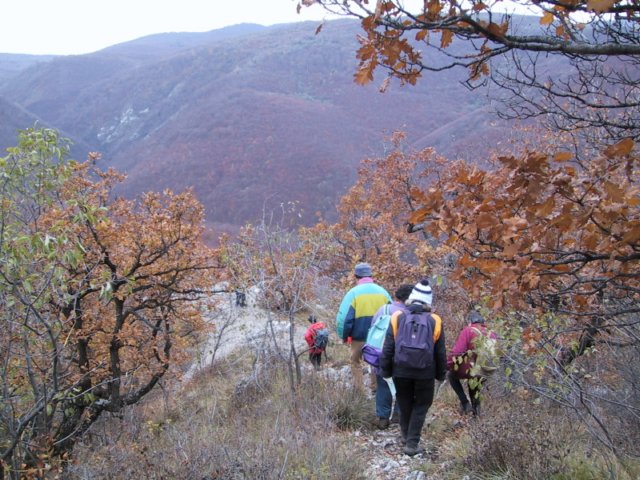 photo22.jpg