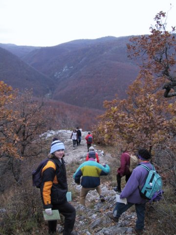 photo23.jpg