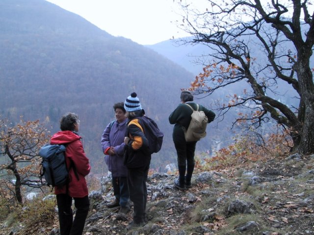 photo38.jpg