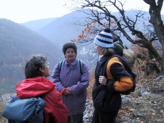 photo39.jpg