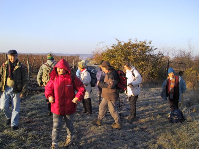 photo1.jpg