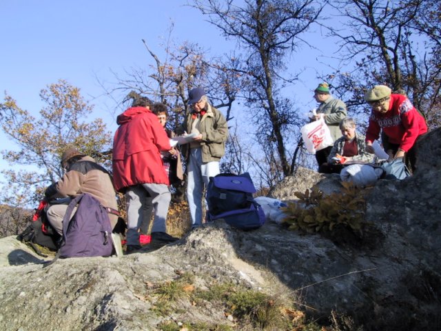photo27.jpg