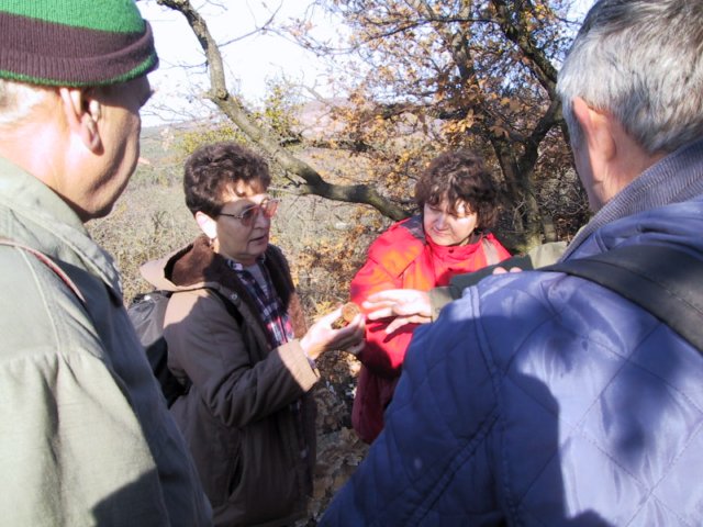 photo33.jpg