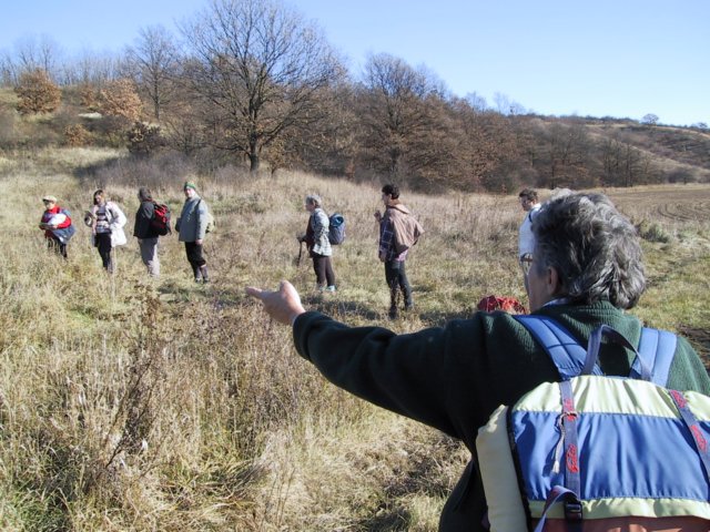 photo36.jpg