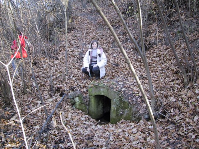 photo40.jpg