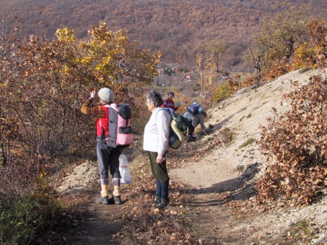 photo44.jpg