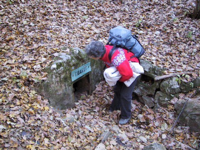 photo47.jpg