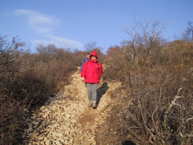 photo60.jpg