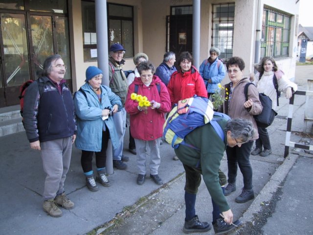 photo61.jpg