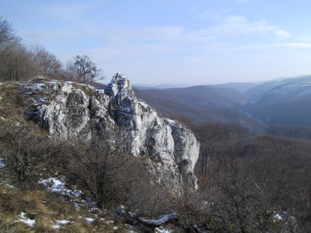 photo17.jpg