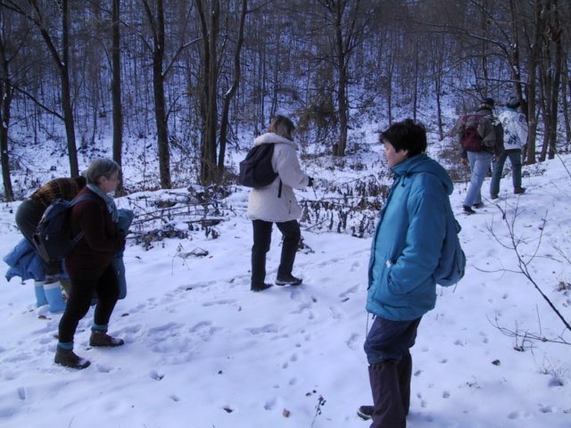 photo2.jpg