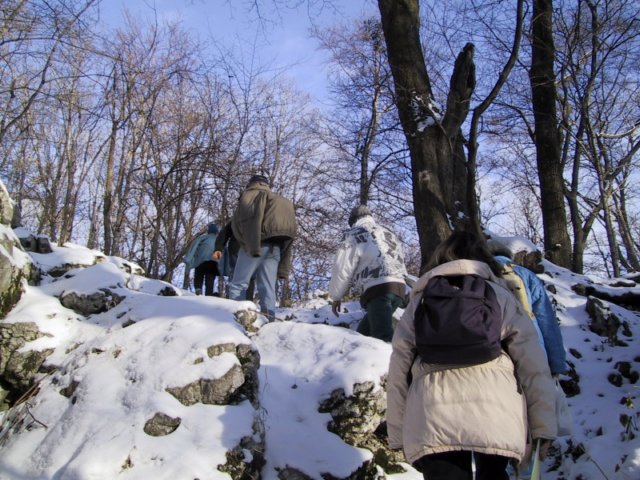 photo21.jpg