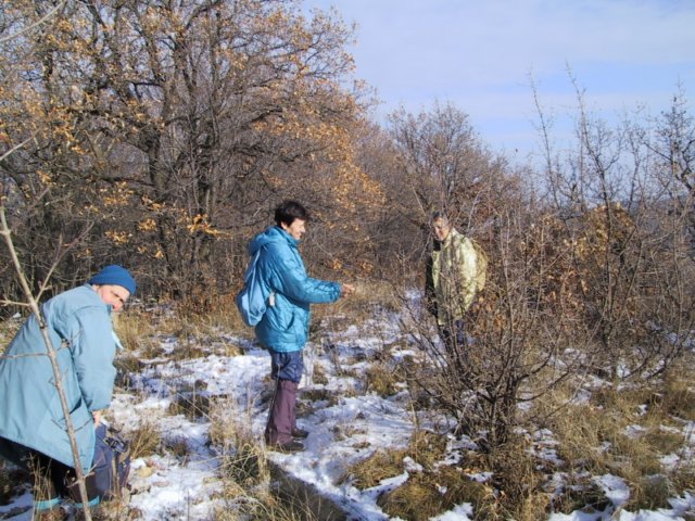 photo26.jpg