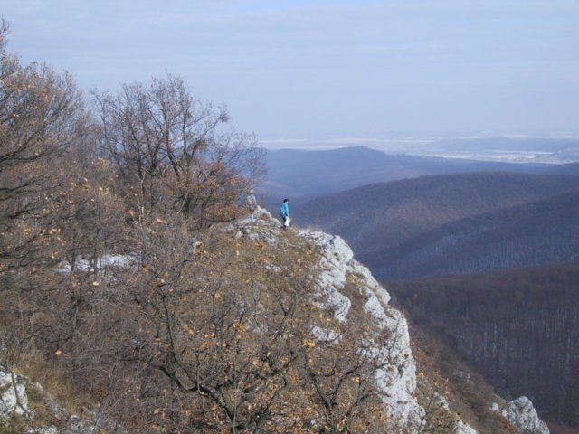 photo29.jpg