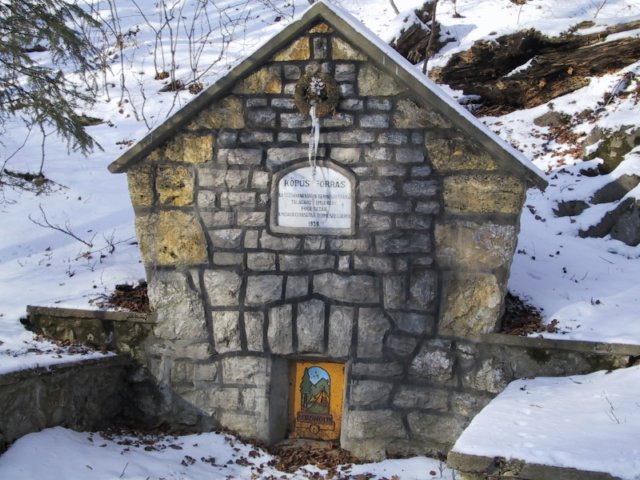 photo8.jpg